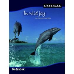 CLASSMATE NOTEBOOKS- UNRULED- SOFT COVER- 24 x 18 CM- 172 PAGES